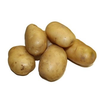 Krumpir mladi